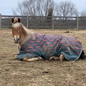 Meet your Posher, Mom